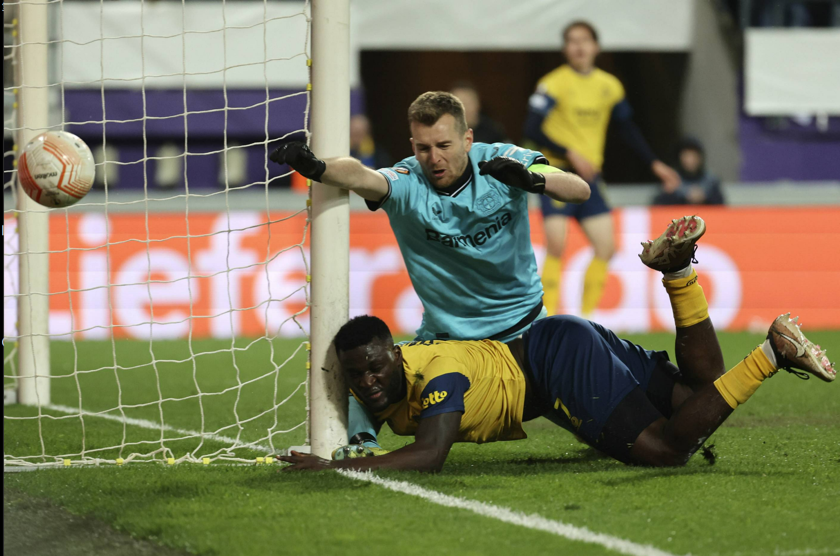 包含受伤球员康复进度公布,球队再现希望的词条 包含受伤球员康复进度公布,球队再现希望的词条