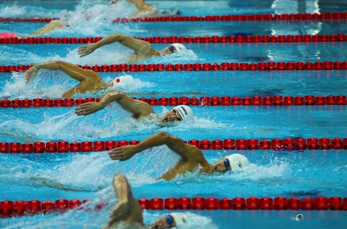爱游戏官方-世界聚焦！游泳赛事全球收视创新高