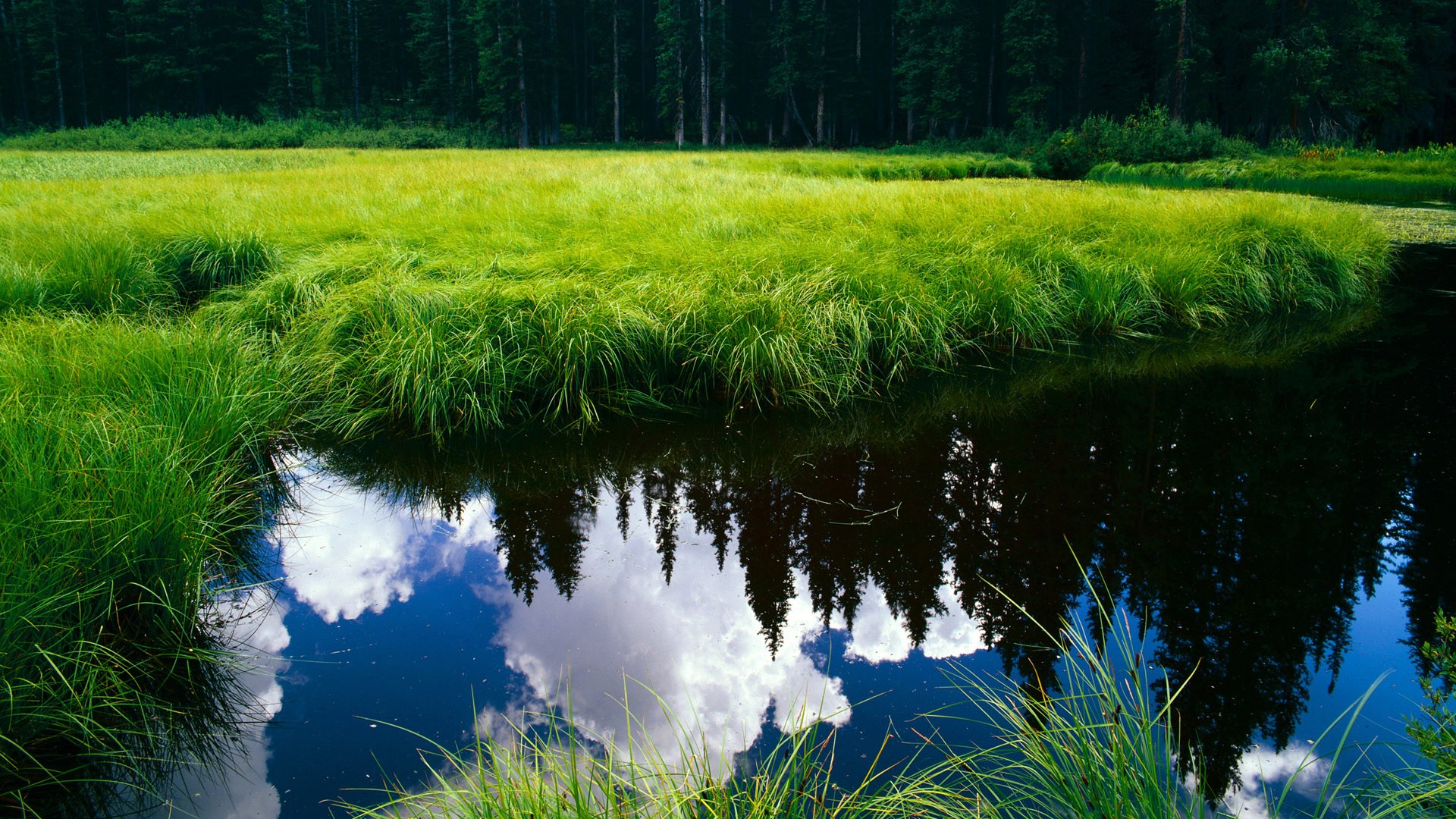 爱游戏tv-天山脚下展雄风！新疆队完胜掘金，西亚卡姆关键回合不手软