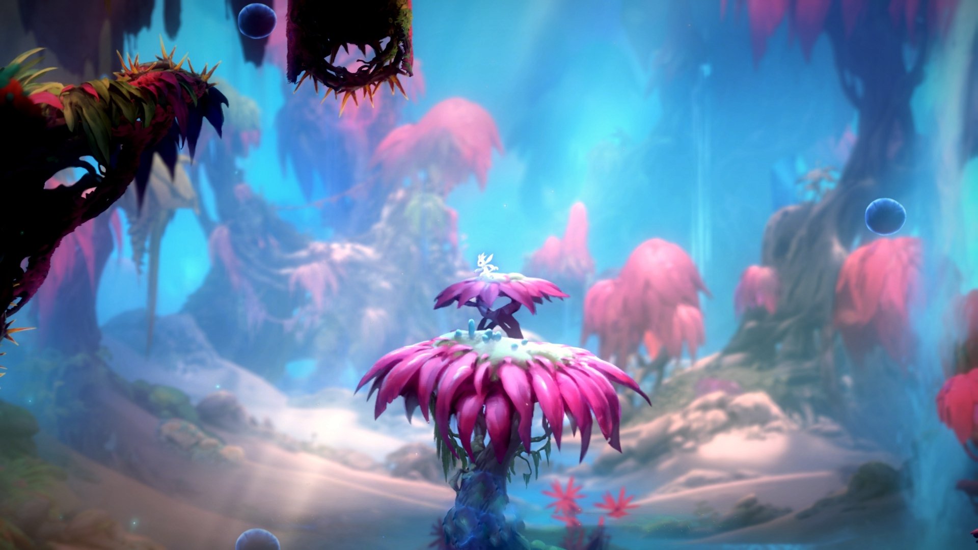 北美绿茵夜，英格拉姆时间