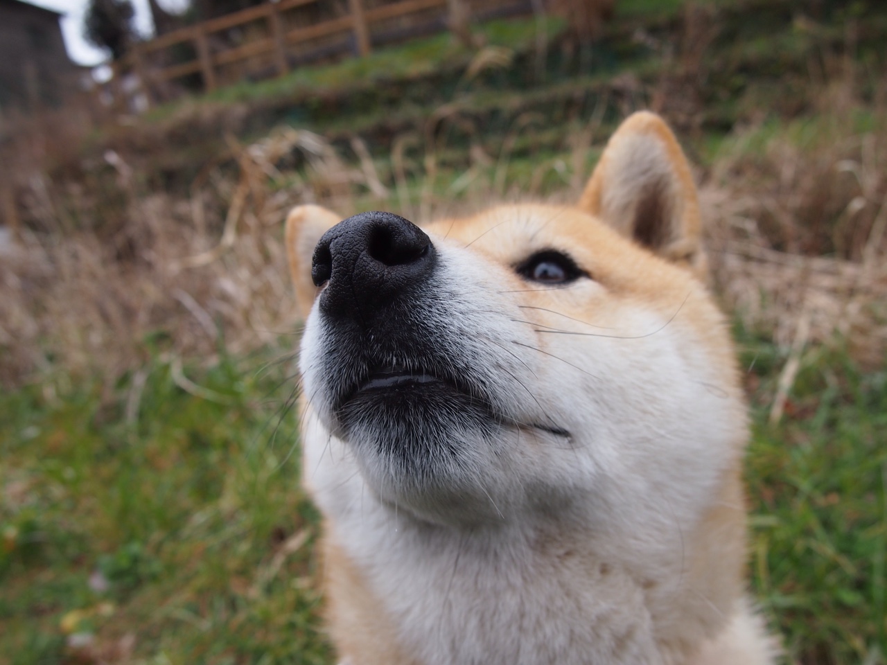 爱游戏入口-教科书般的统治力，帕尔默闪耀荷兰对阵芬兰之战，诠释完美中场艺术