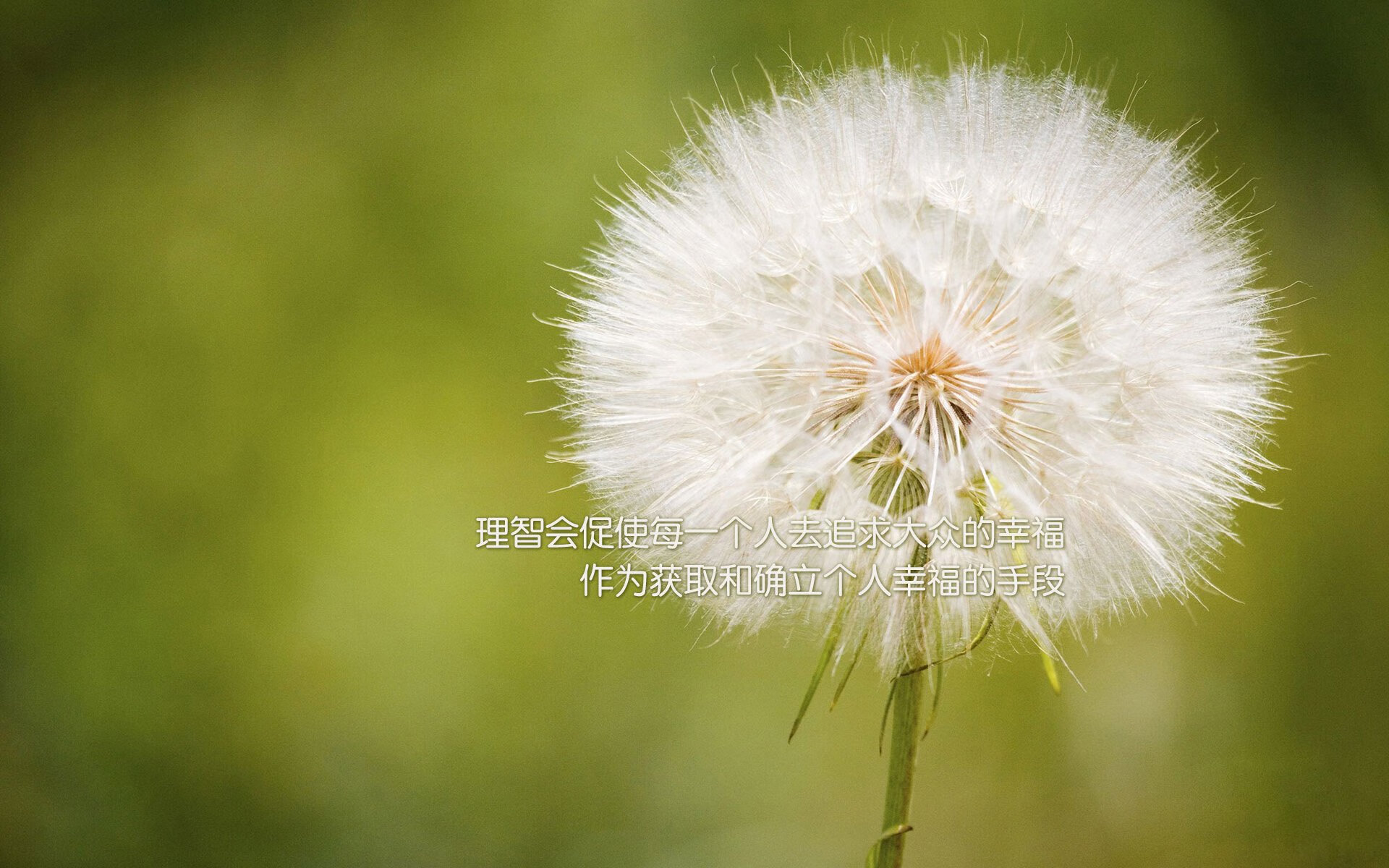 英超争冠如弈棋,上海制霸似魔术,跨越东西方的竞技美学