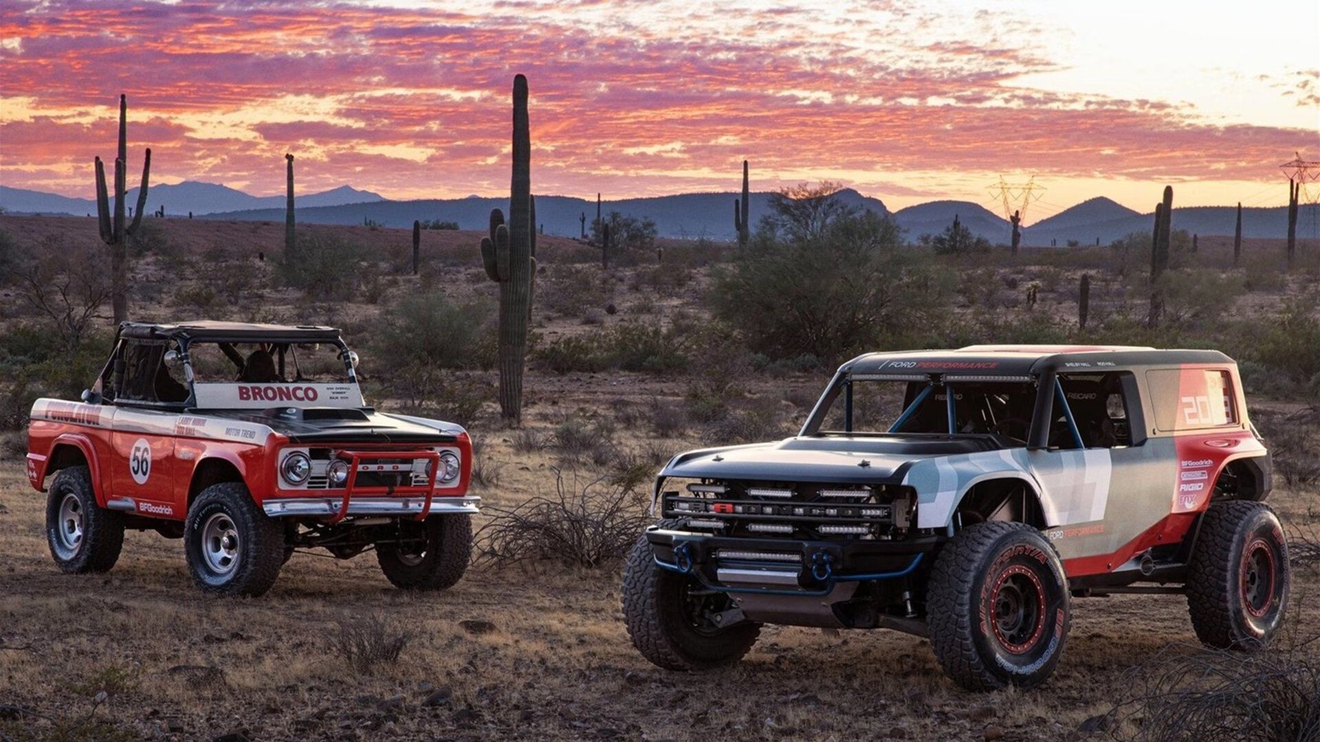 锡安稳如磐石掘金绝地翻盘,个人之力与团队之魂的篮球启示录